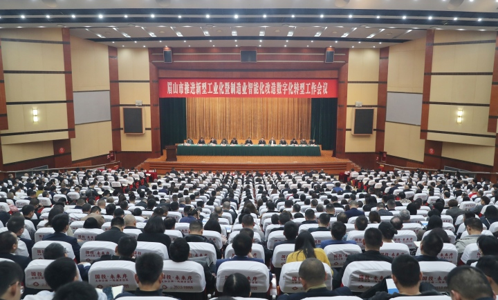 “智改数转”成效凸显,琏升光伏科技获评2023年眉山市贡献突出企业