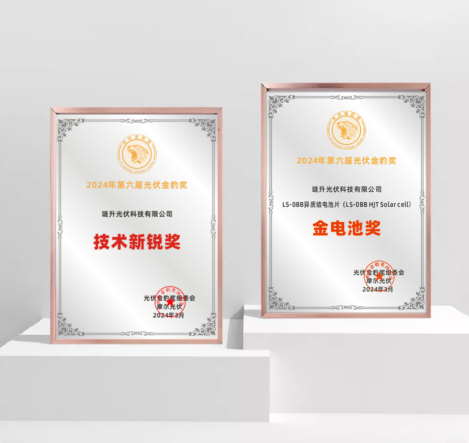 捷报!琏升光伏科技斩获“金豹奖”两项大奖